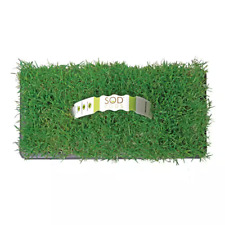 Bermuda grass plugs for sale  Auburn