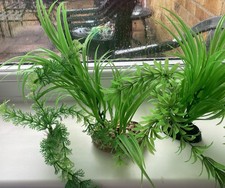 Aquarium fish tank for sale  FERNDOWN