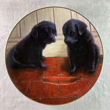 Playful puppies whodunnit for sale  Vergas