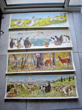 Lot affiches scolaires d'occasion  Piolenc