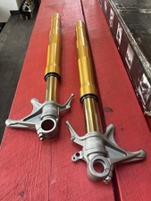 Ohlins ducati 1199s for sale  Hunter