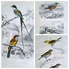 Gravures 1850 nature d'occasion  Épernay