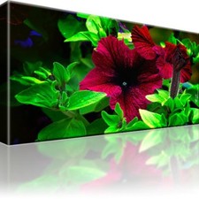 Blume pflanze natur gebraucht kaufen  Deutschland