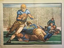 Red grange fighting for sale  Wallins Creek