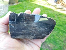 Top versteinertes holz gebraucht kaufen  Limbach-Oberfrohna