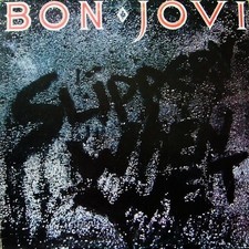 Bon jovi slippery usato  Vercelli