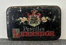 labrador chocolat chocolat d'occasion  Le Puy-en-Velay