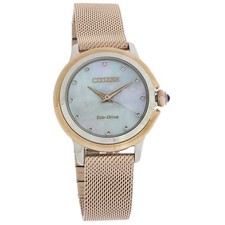 Relógio Citizen Eco-Drive Feminino Ceci Diamond Collection EM0796-75D comprar usado  Enviando para Brazil