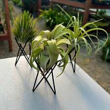 Pack geometric wire for sale  Vacaville