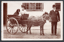 Postcard pony trap for sale  POOLE