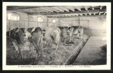 Old postcard souesmes d'occasion  Expédié en Belgium