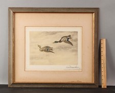 mallards print for sale mallards print for sale Cumberland