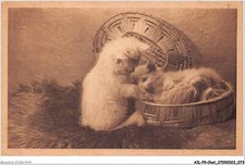 AILP9-0873 - GATO - Gato En Una Canasta comprar usado AILP9-0873 - GATO - Gato En Una Canasta comprar usado  Enviando para Brazil