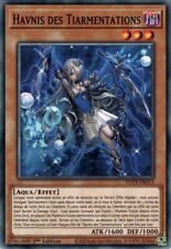 Yu Gi Oh ! Havnis des Tiarmentations ( POTE-FR013 ) Commune / VF comprar usado  Enviando para Brazil