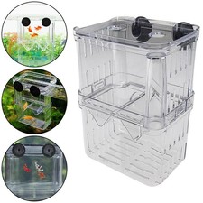 Aquarium fish breeding for sale  YORK
