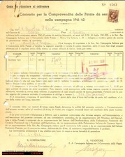 patate semina usato patate semina usato Milano