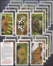 Players doncella full for sale Players doncella full for sale  COLNE