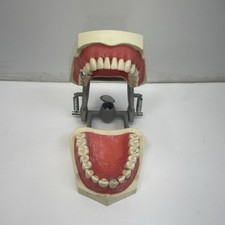 Columbia dentoform ivorine for sale  Point Pleasant Beach