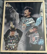 Signed framed pavel for sale  CRAMLINGTON