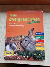 Zwergkaninchen zuhause bede gebraucht kaufen  Aßling