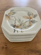 Kuchenteller villeroy boch gebraucht kaufen  Rantrum