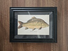 Plate print mirror for sale  SOUTH OCKENDON