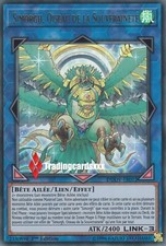 Simorgh oiseau souveraineté d'occasion  Argenteuil