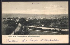 Guntersblum rheinhessen rtsans gebraucht kaufen  Berlin