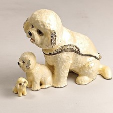 Rare bichon frise for sale  Coral Springs