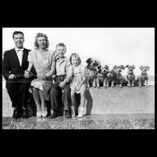 Photo .016046 arthur d'occasion  Martinvast