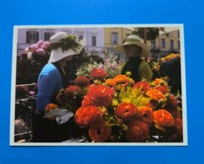 Fiori sapori sul usato Fiori sapori sul usato  Bari