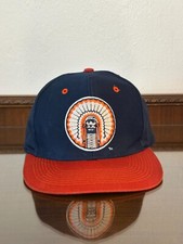 Illinois fighting illini for sale  Naples