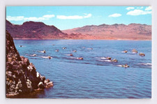 1950 boat races for sale  Pomona