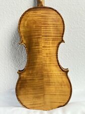 1041 große viola gebraucht kaufen  Flöha