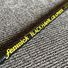 Vintage fenwick blackhawk for sale  Anoka