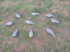Plastic decoy pigeons for sale  GRANTHAM