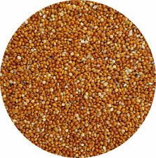 Red millet 1kg for sale  LEIGHTON BUZZARD