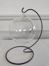 Air plant succulents for sale  Erie