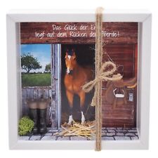 Geldgeschenk verpackung reiten gebraucht kaufen  Gummersbach