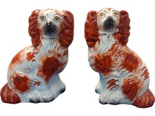 king charles spaniel for sale king charles spaniel for sale CHICHESTER