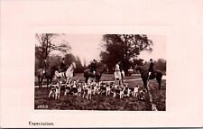 Mystery hunting hounds for sale  WHITLEY BAY