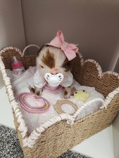 Reborn piglet fawn for sale  Baytown