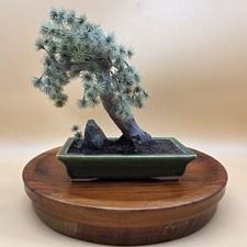 Vintage artificial pine for sale  Aldie