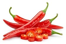 Chilli plants cayenne for sale Chilli plants cayenne for sale  BANBURY