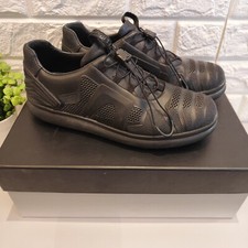 Camper lab pelotas for sale  CHIPPENHAM