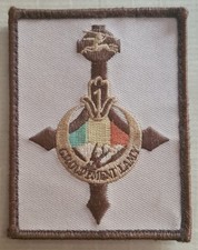 Infanterie tirailleurs insigne d'occasion  Thionville