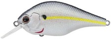Daiwa evergreen zeruch for sale  Asbury Park