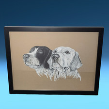 Labrador golden retriever for sale  Pleasant Hill
