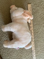 Ganz webkinz signature for sale  Tampa