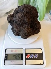 100gr tartufo fresco usato  Campobasso